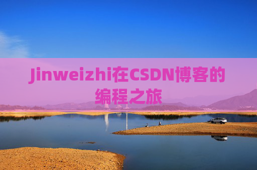 Jinweizhi在CSDN博客的编程之旅